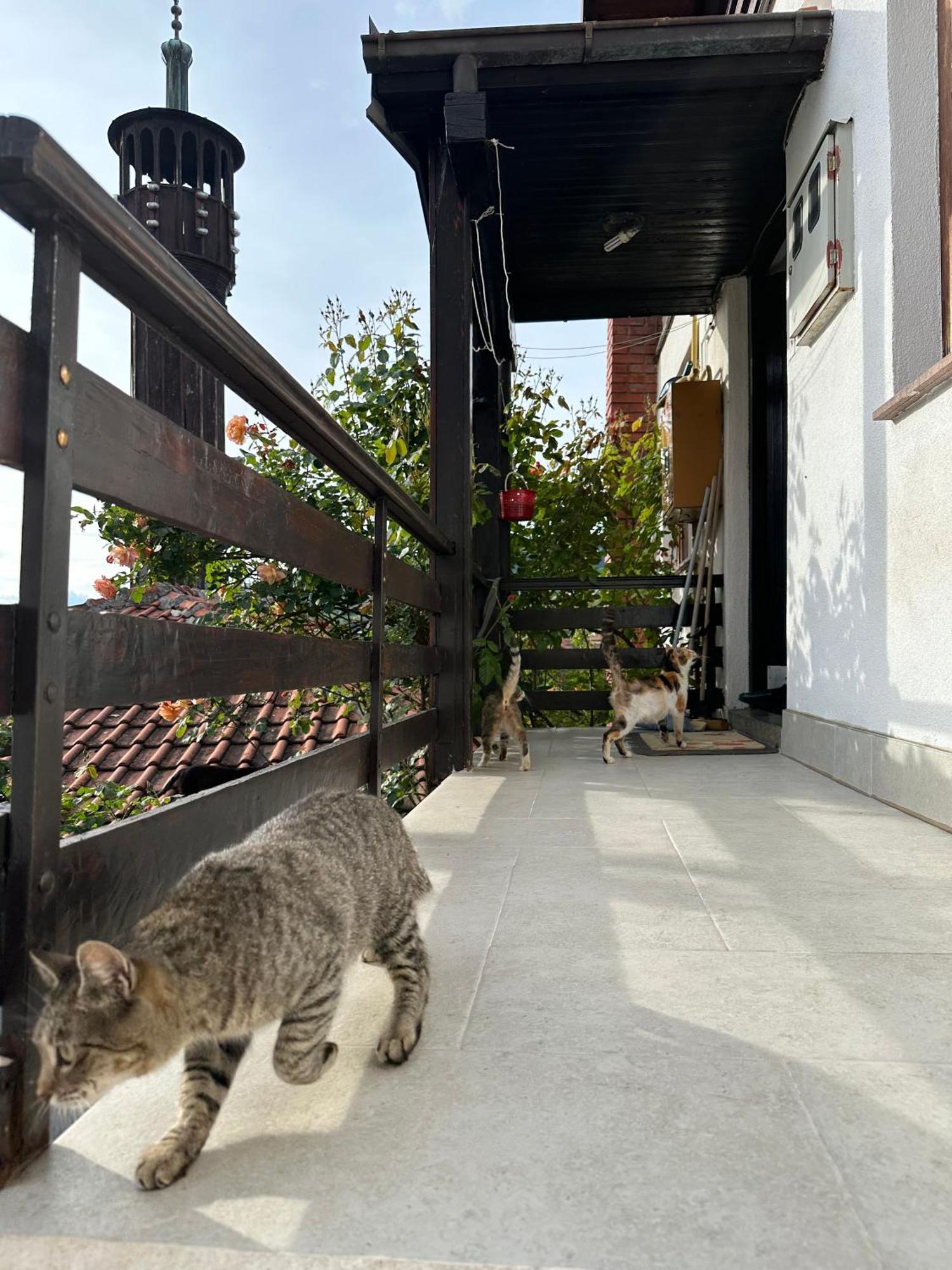 Yasmin Daire Saraybosna Dış mekan fotoğraf